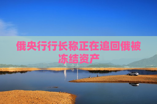 俄央行行长称正在追回俄被冻结资产