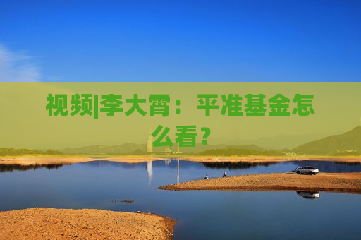 视频|李大霄：平准基金怎么看？