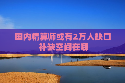 国内精算师或有2万人缺口 补缺空间在哪