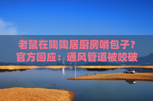 老鼠在陶陶居厨房啃包子？官方回应：通风管道被咬破 已进行消杀