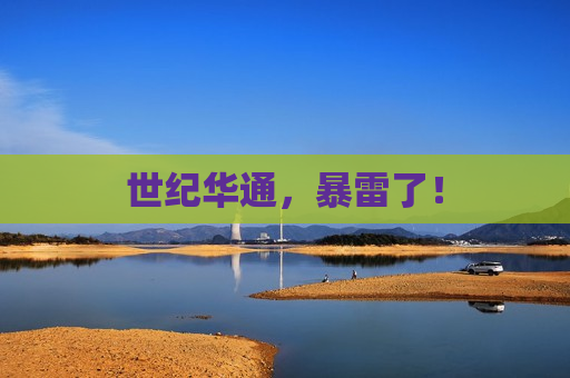 世纪华通，暴雷了！