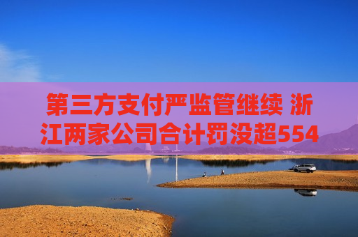 第三方支付严监管继续 浙江两家公司合计罚没超554万