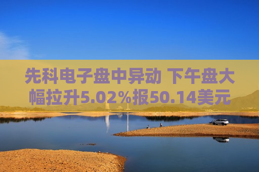 先科电子盘中异动 下午盘大幅拉升5.02%报50.14美元