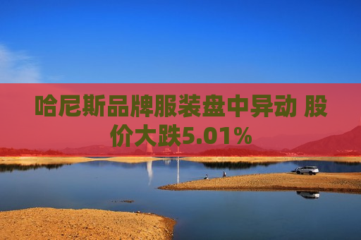 哈尼斯品牌服装盘中异动 股价大跌5.01%