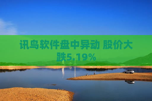 讯鸟软件盘中异动 股价大跌5.19%