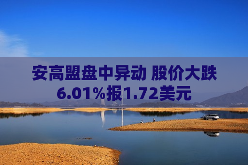 安高盟盘中异动 股价大跌6.01%报1.72美元