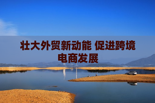 壮大外贸新动能 促进跨境电商发展