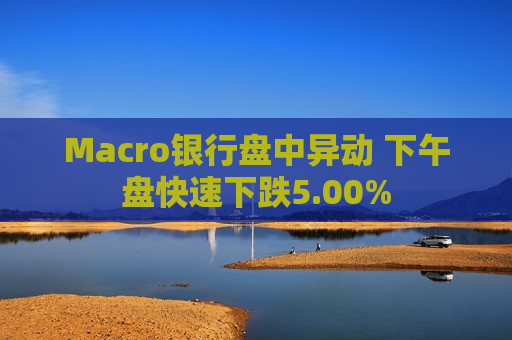 Macro银行盘中异动 下午盘快速下跌5.00%  第1张