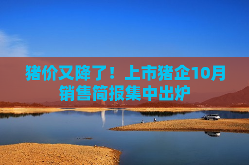 猪价又降了！上市猪企10月销售简报集中出炉