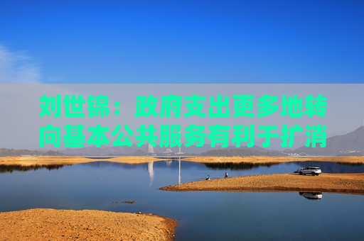刘世锦： *** 支出更多地转向基本公共服务有利于扩消费、稳增长