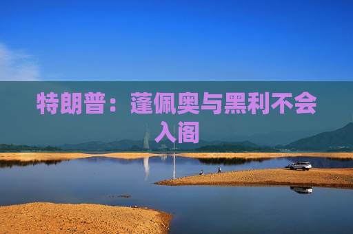 特朗普：蓬佩奥与黑利不会入阁