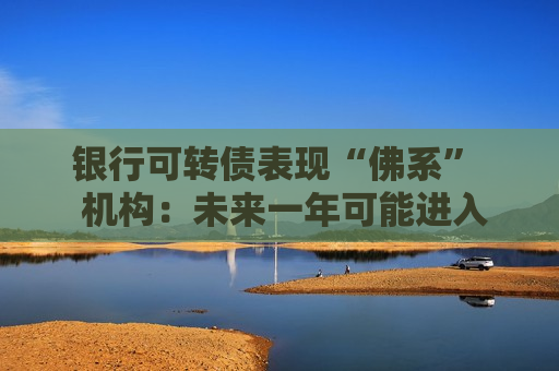 银行可转债表现“佛系”  机构：未来一年可能进入供给收缩期