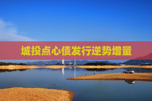城投点心债发行逆势增量