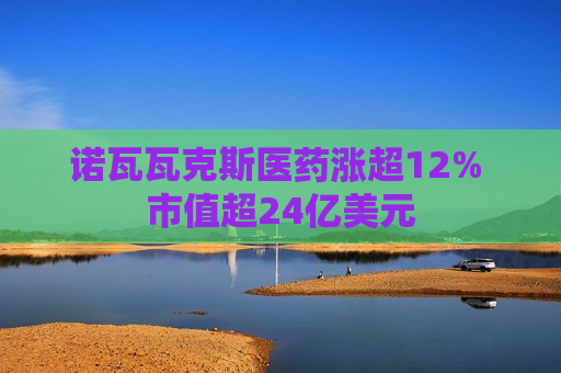 诺瓦瓦克斯医药涨超12% 市值超24亿美元