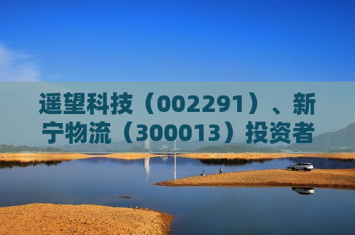 遥望科技（002291）、新宁物流（300013）投资者索赔案持续推进