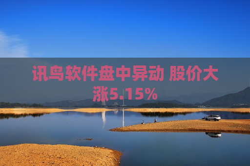 讯鸟软件盘中异动 股价大涨5.15%