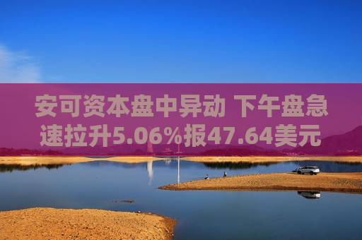 安可资本盘中异动 下午盘急速拉升5.06%报47.64美元