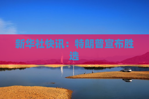 新华社快讯：特朗普宣布胜选