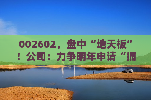 002602，盘中“地天板”！公司：力争明年申请“摘帽”