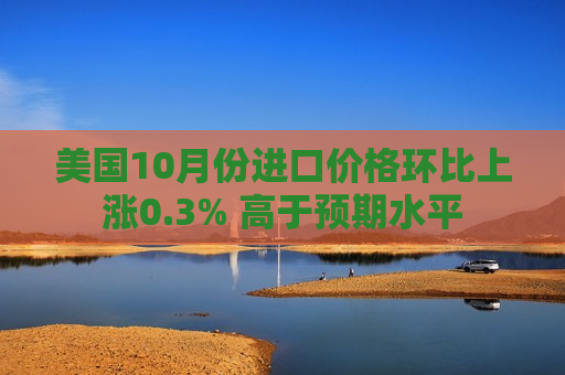 美国10月份进口价格环比上涨0.3% 高于预期水平