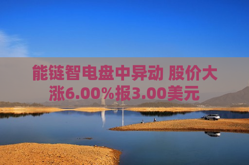 能链智电盘中异动 股价大涨6.00%报3.00美元
