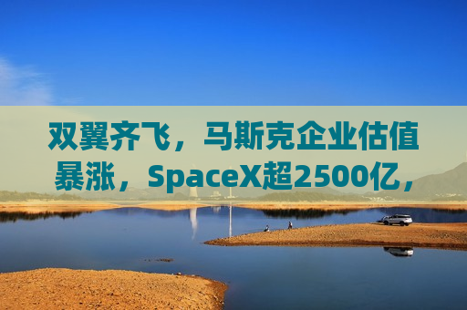 双翼齐飞，马斯克企业估值暴涨，SpaceX超2500亿，xAI达450亿