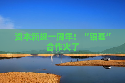 资本新规一周年！“银基”合作火了