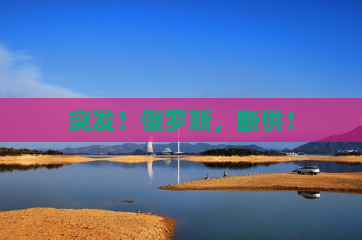 突发！俄罗斯，断供！