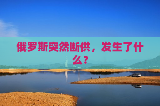 俄罗斯突然断供，发生了什么？
