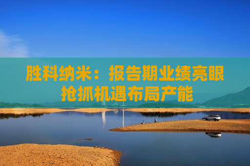 胜科纳米：报告期业绩亮眼 抢抓机遇布局产能