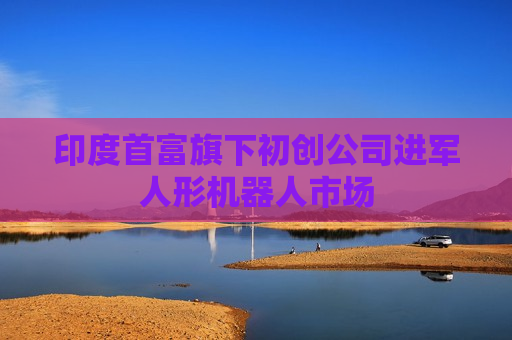 印度首富旗下初创公司进军人形机器人市场  第1张