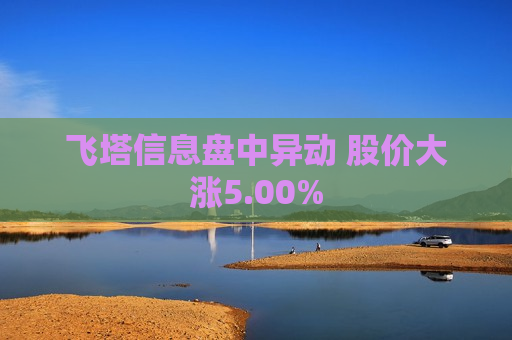 飞塔信息盘中异动 股价大涨5.00%