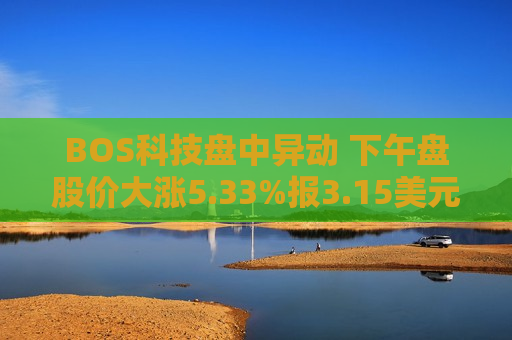 BOS科技盘中异动 下午盘股价大涨5.33%报3.15美元