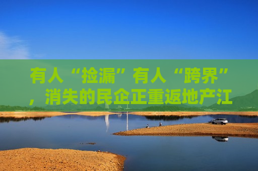 有人“捡漏”有人“跨界”，消失的民企正重返地产江湖