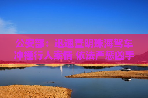 公安部：迅速查明珠海驾车冲撞行人案情 依法严惩凶手