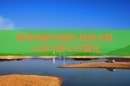 好未来盘中异动 股价大跌5.06%报9.55美元