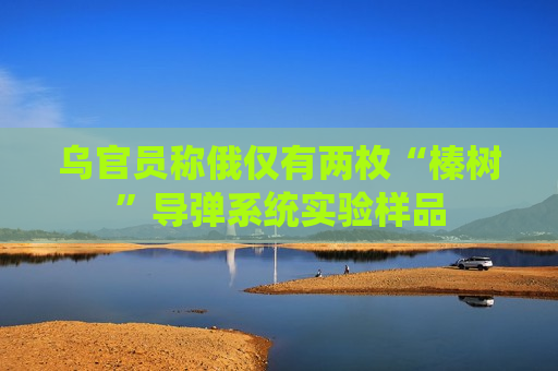 乌官员称俄仅有两枚“榛树”导弹系统实验样品