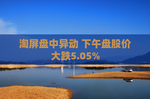淘屏盘中异动 下午盘股价大跌5.05%