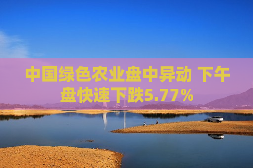 中国绿色农业盘中异动 下午盘快速下跌5.77%