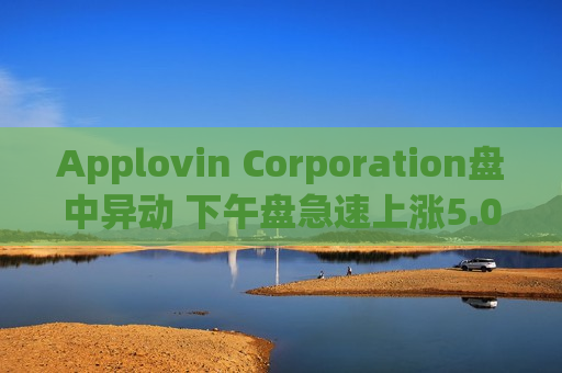 Applovin Corporation盘中异动 下午盘急速上涨5.02%报334.20美元