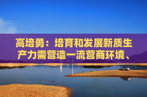 高培勇：培育和发展新质生产力需营造一流营商环境、稳定企业预期