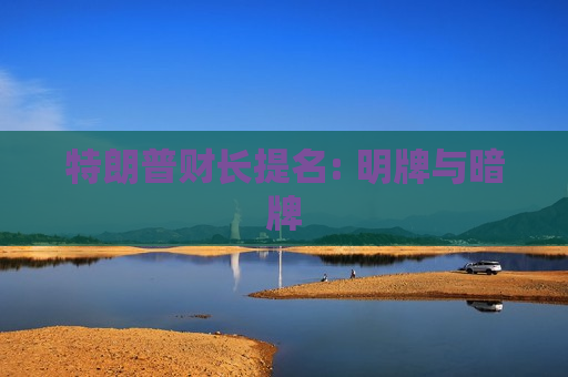 特朗普财长提名: 明牌与暗牌