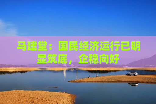 马建堂：国民经济运行已明显筑底，企稳向好