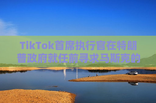 TikTok首席执行官在特朗普 *** 就任前寻求马斯克的意见