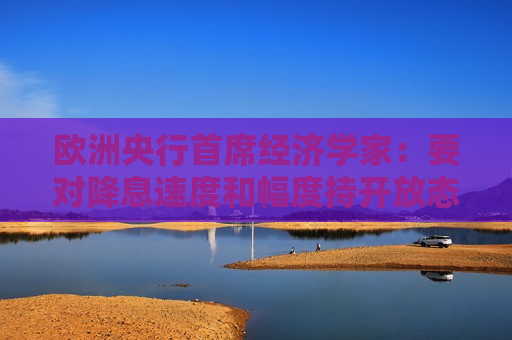 欧洲央行首席经济学家：要对降息速度和幅度持开放态度 逐步采取行动