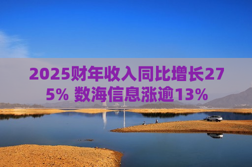 2025财年收入同比增长275% 数海信息涨逾13%