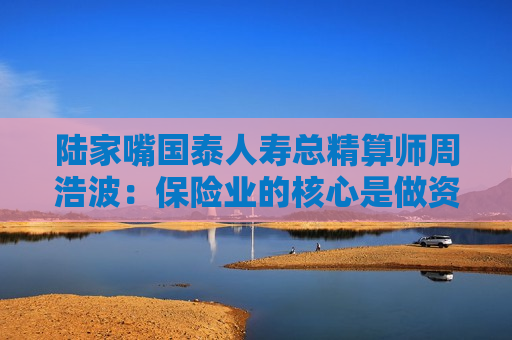 陆家嘴国泰人寿总精算师周浩波：保险业的核心是做资产负债管理