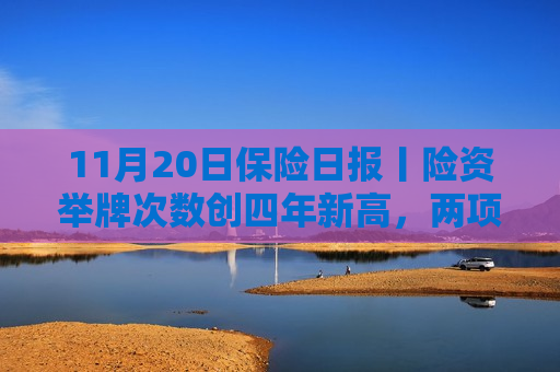 11月20日保险日报丨险资举牌次数创四年新高，两项保险业标准出炉，规范人身险和车险理赔服务