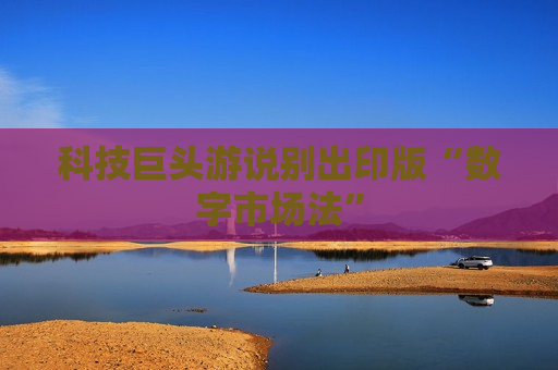 科技巨头游说别出印版“数字市场法”