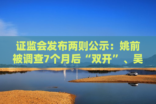  *** 发布两则公示：姚前被调查7个月后“双开”、吴国舫正接受调查